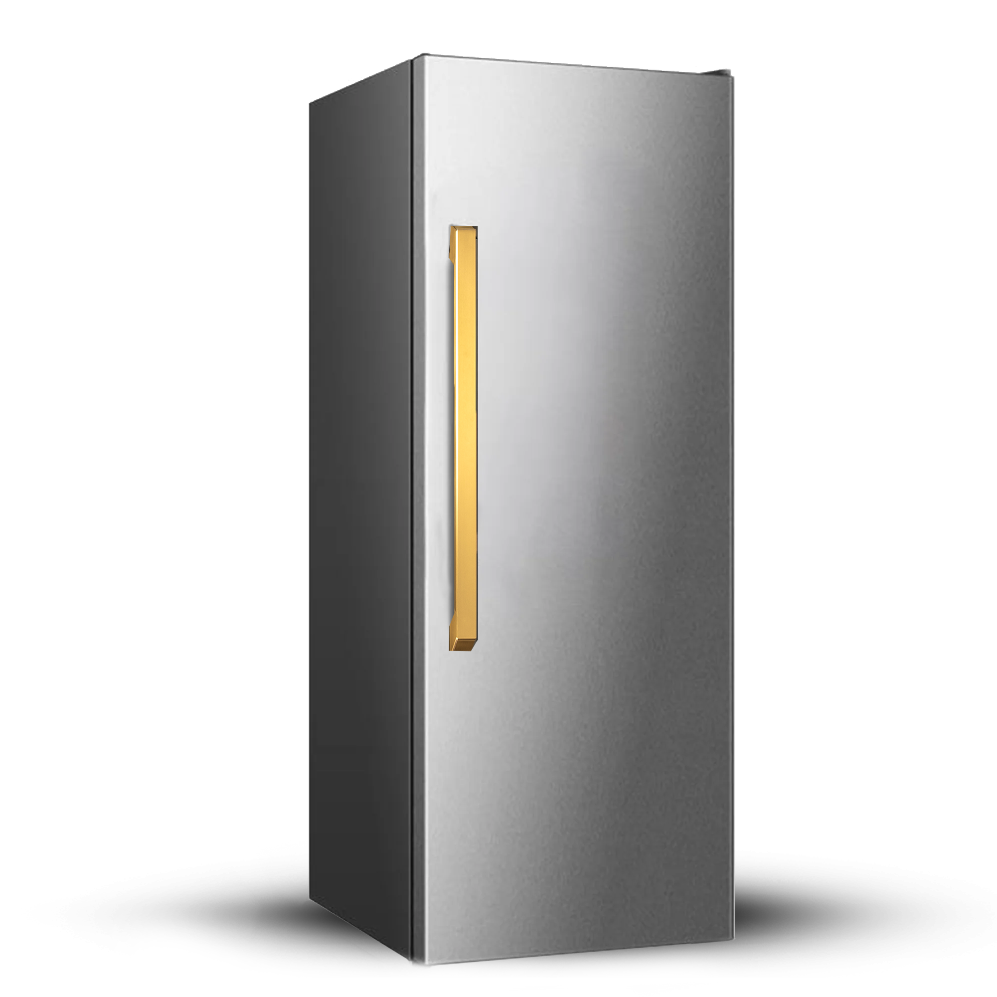 30" Refrigerator Built-In Column with Water Dispenser – VEGA Edition